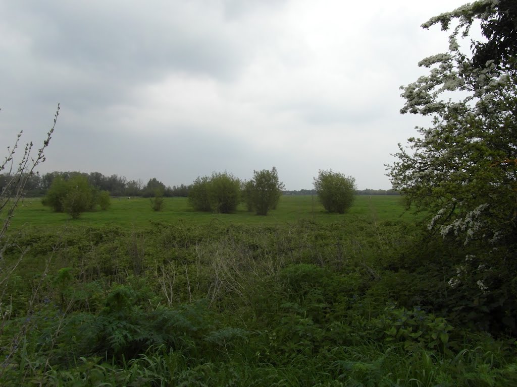Footpath North of Hersham Trading Estate