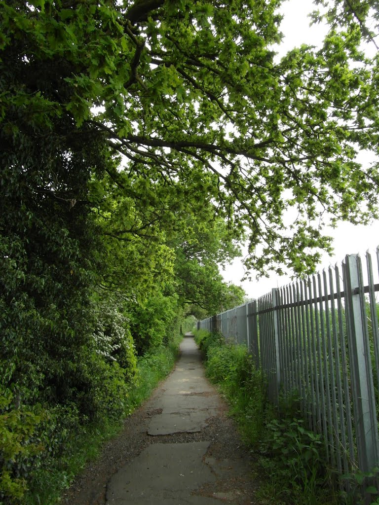 Footpath North of Hersham Trading Estate