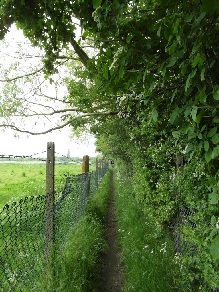 Footpath heading NW
