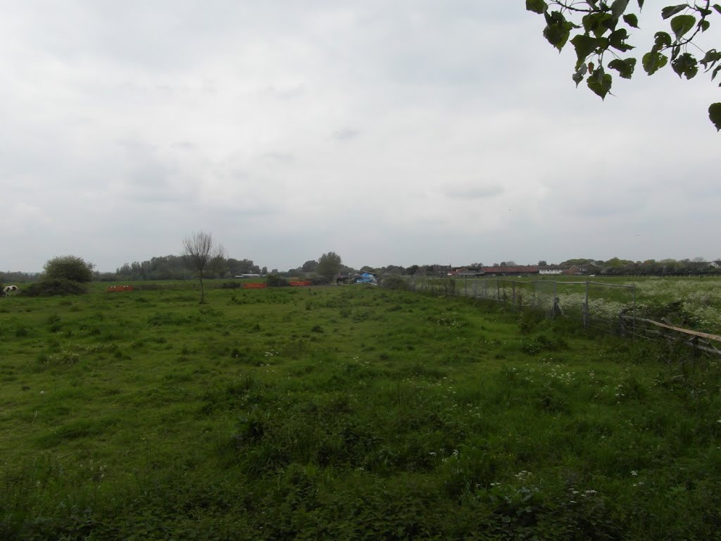 View from the Footpath