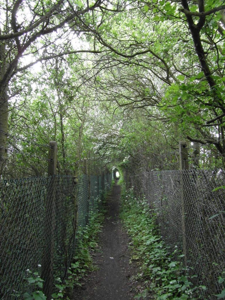 Footpath heading NW