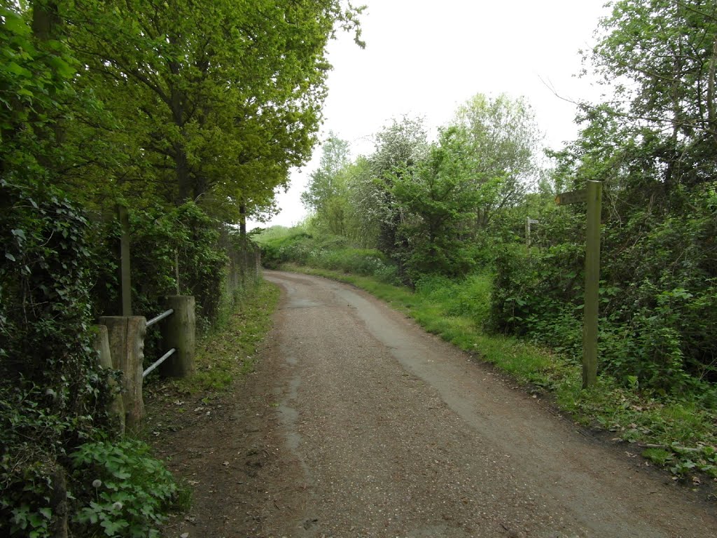 Footpath meets road