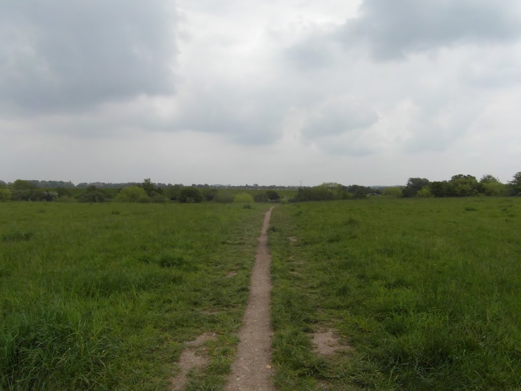 Molesey Heath Nature Reserve