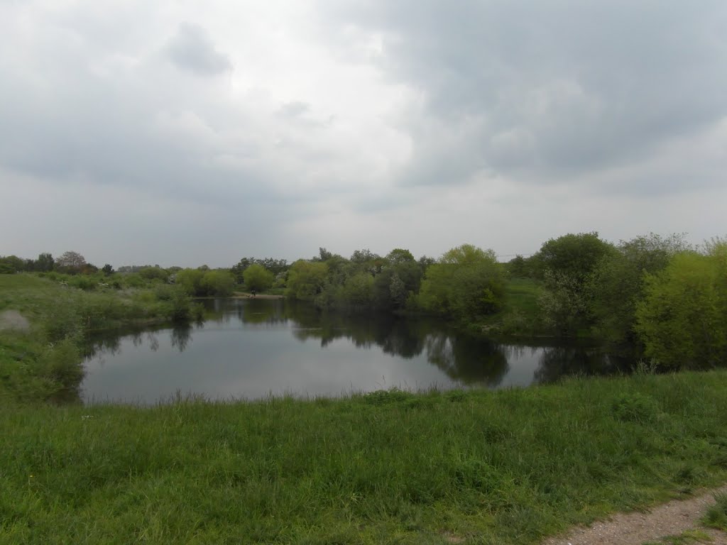 Molesey Heath Nature Reserve