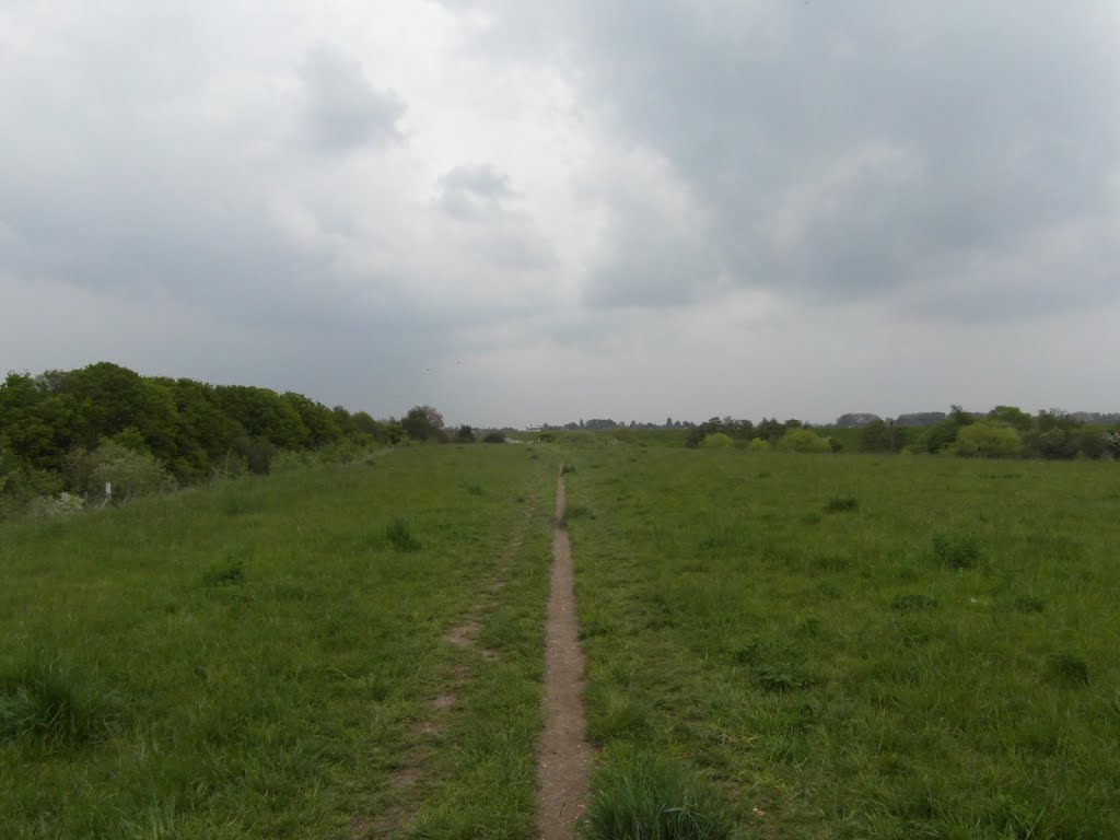 Molesey Heath Nature Reserve