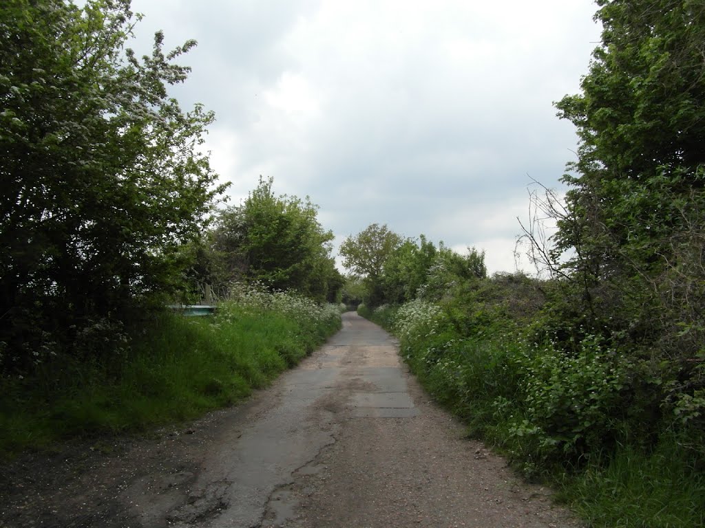 Footpath through the nature reserve