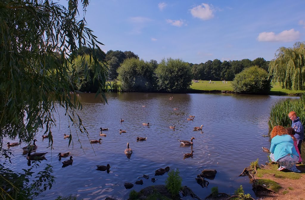 West End Park Esher A view of the Duck Pond and Esher Cricket Club @ Play