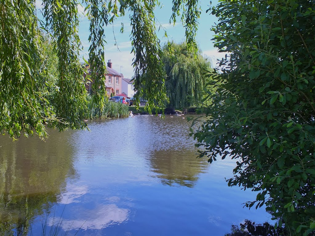 West End Park Pond Esher Surrey England