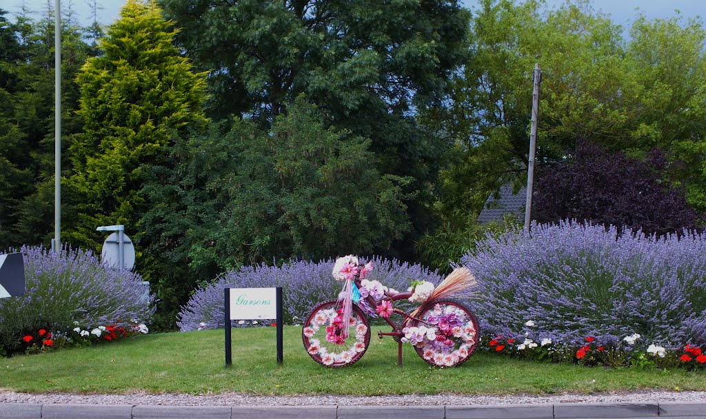 Olympic Surrey Cycle Floral Display Esher Road Roundabout