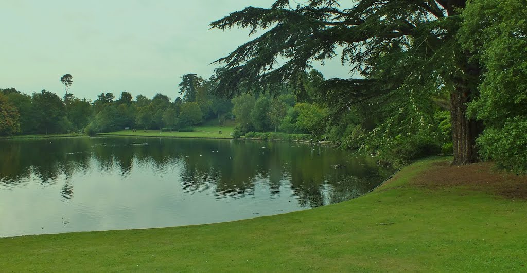 A Lake with a view,Claremont Gardens,Portsmouth Rd Esher