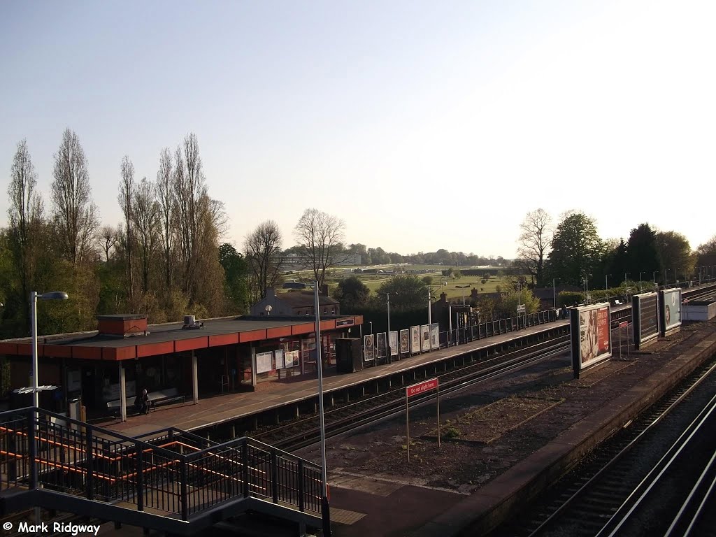 Sutton
