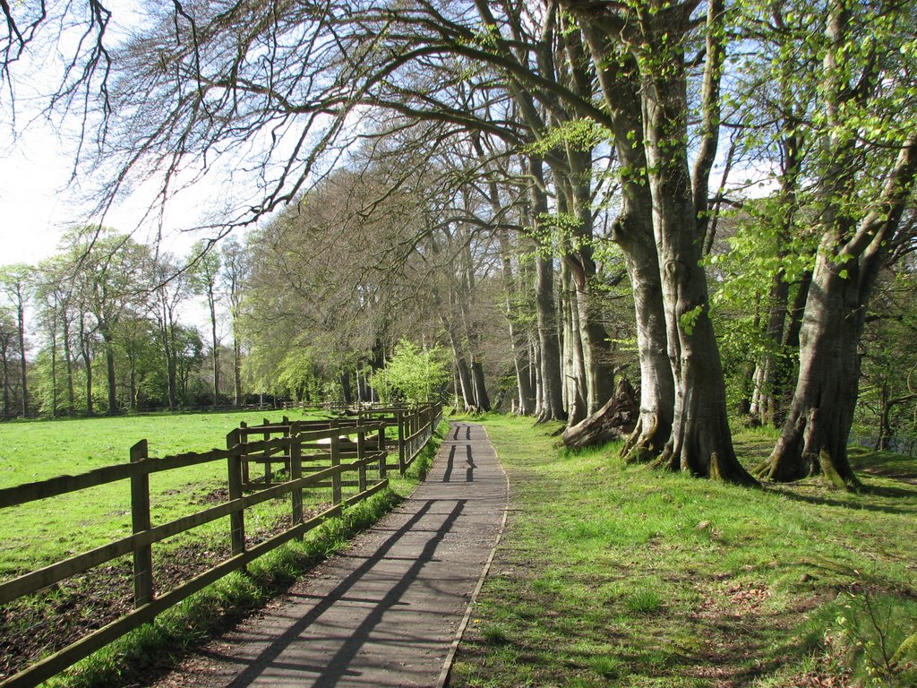 Walk at Galgorm