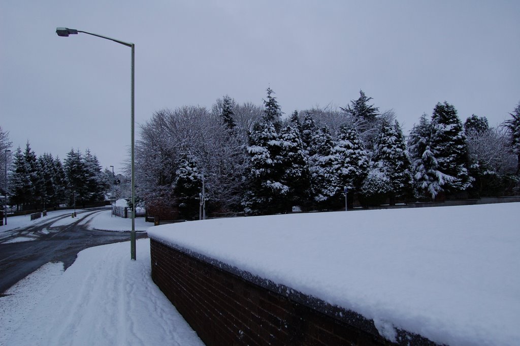 Winter 2010/1 - Thomas St