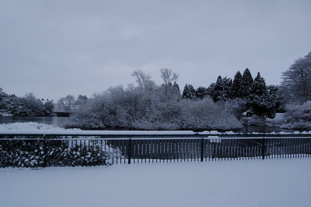 Winter 2010/01 - Peoples Park