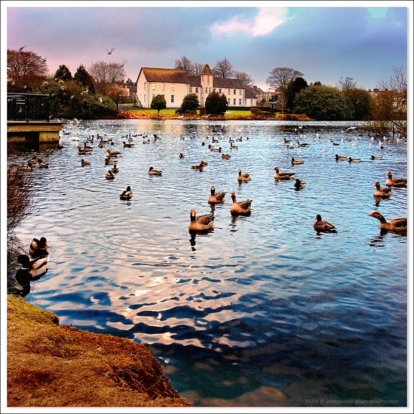 Peoples Park Ballymena