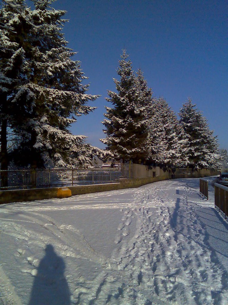 Ballymena - Winter 2006