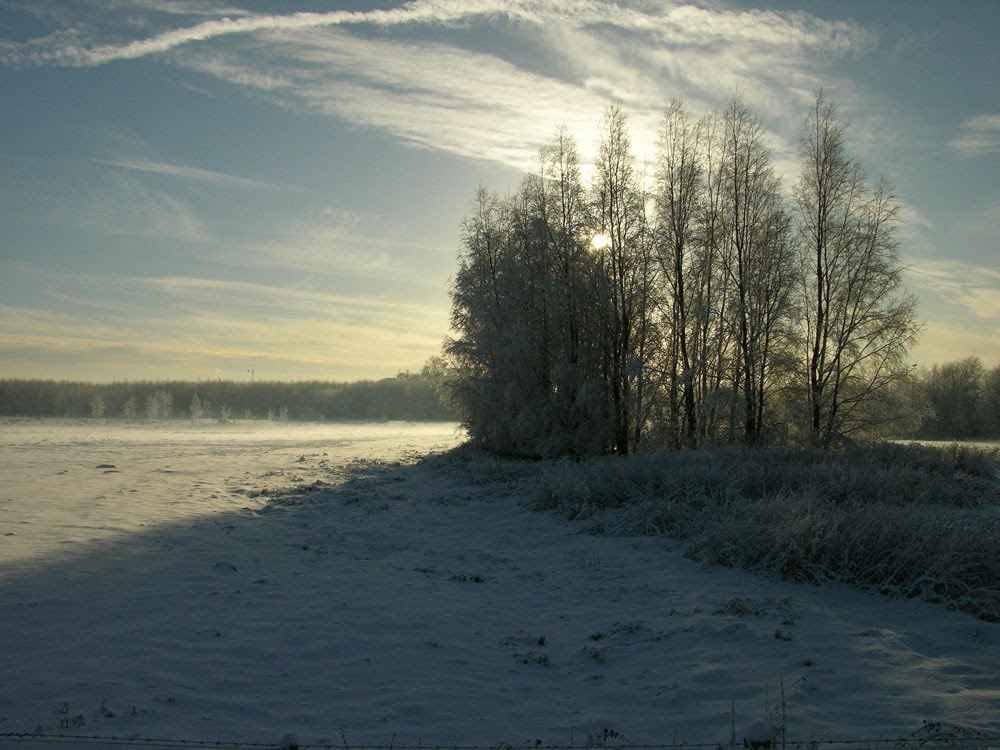 Ecos Center, Ballymena in the snow 7 Dec 2010