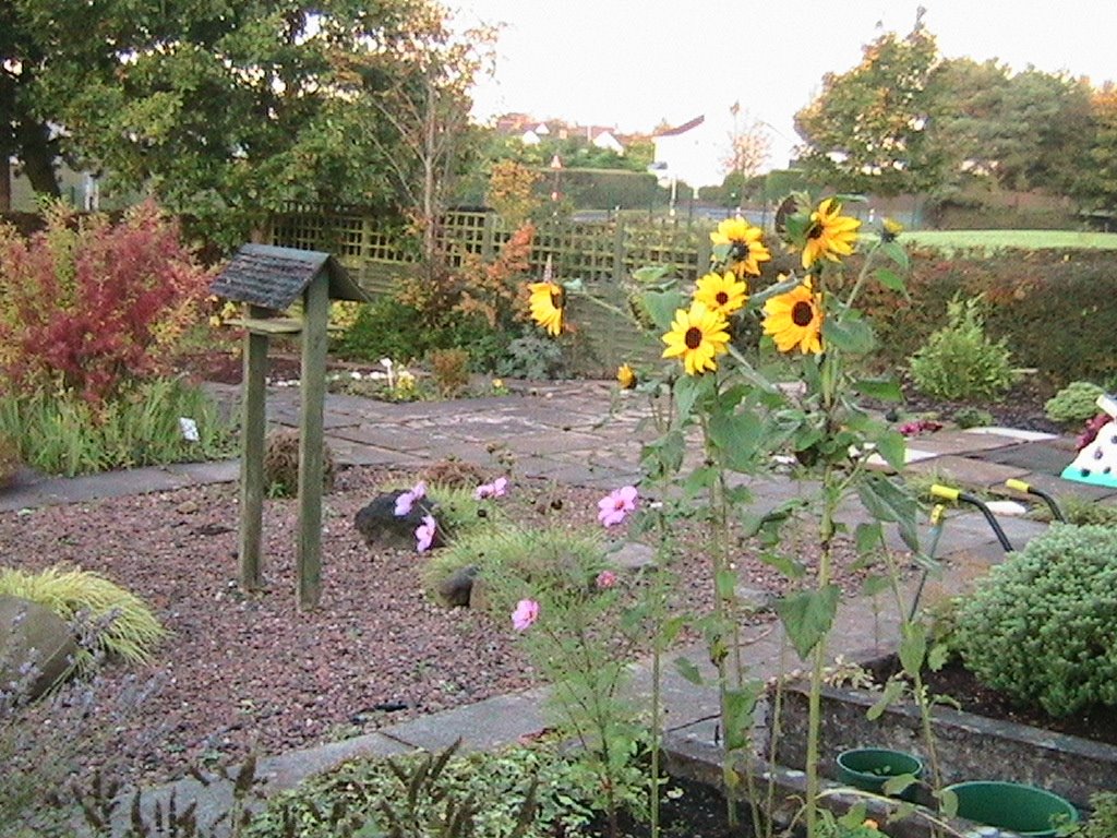 Castle Tower School Garden