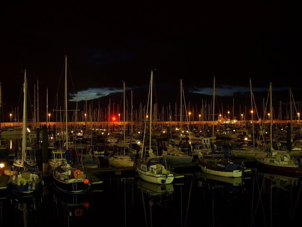 Marina in the night