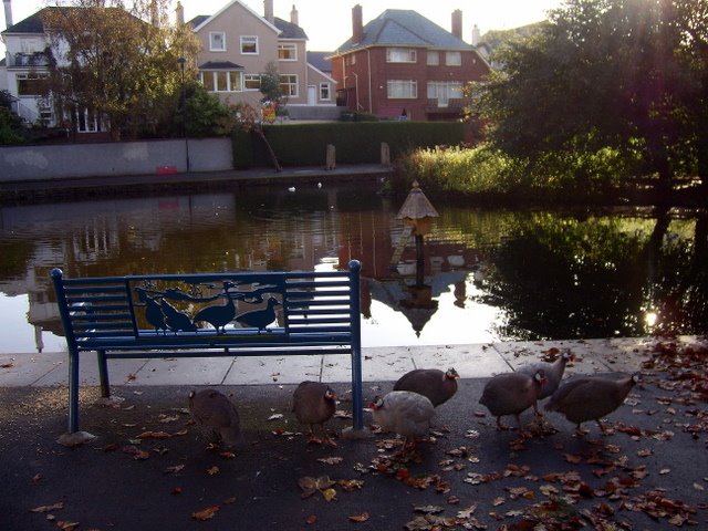 Ward Park