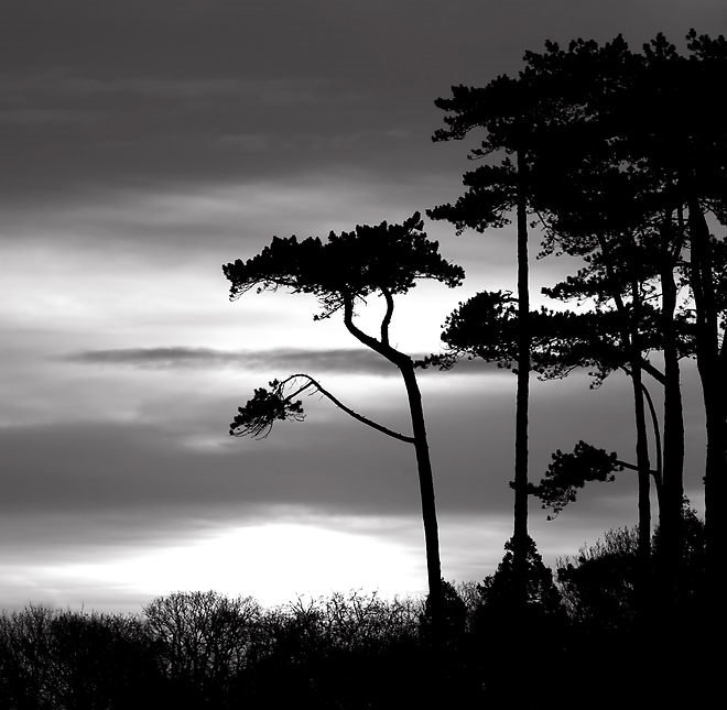 Bangor Sunrise