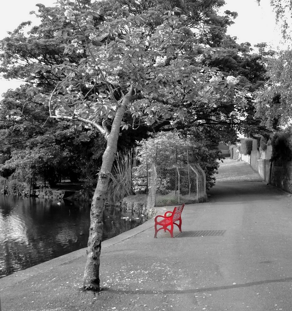 Red Bench