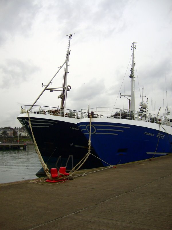 Kilkeel Fishing Boats in Bangor Harbour