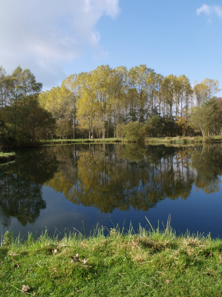 Autumn Reflections