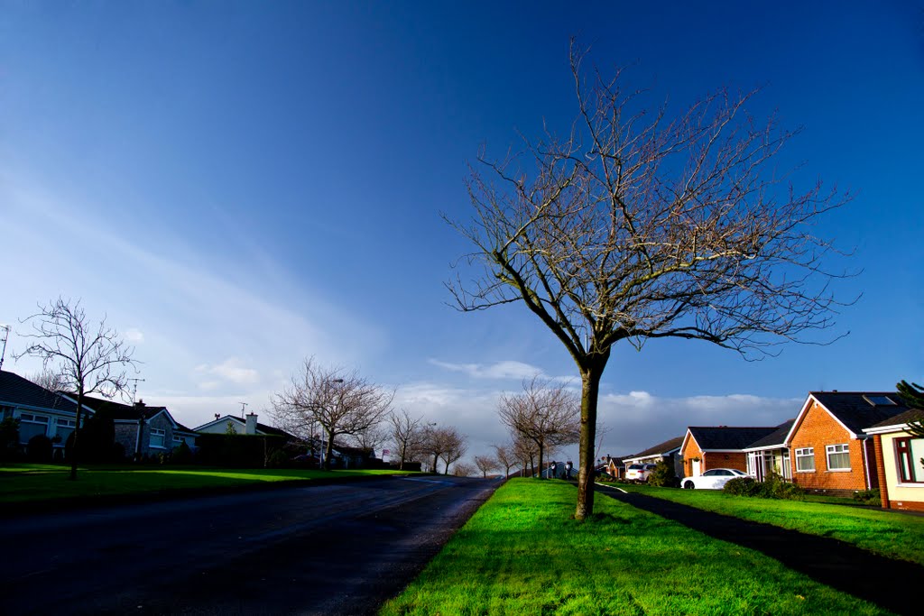 cookstown, lomond heights