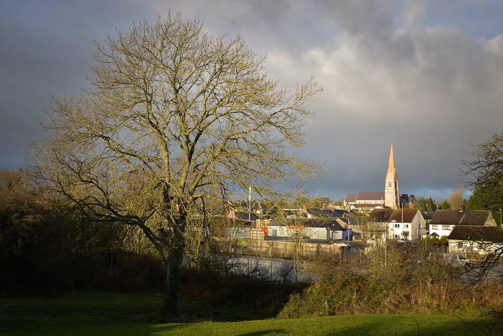 holy trinity church-cookstown