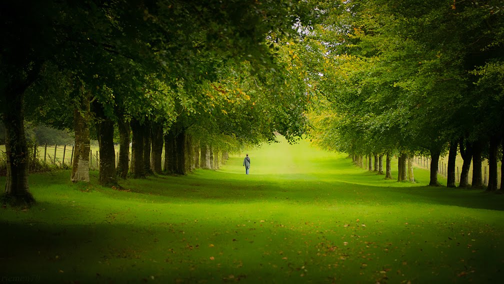 spring hill, moneymore