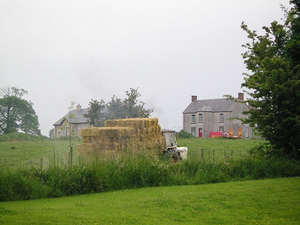 haymaking, ballyclog