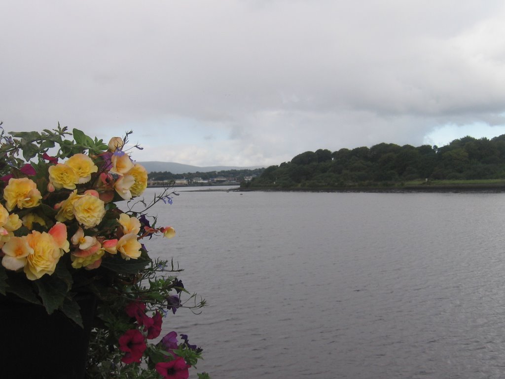 Foyle river