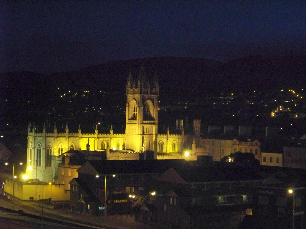 Newry Cathedral N. N.Ireland at night