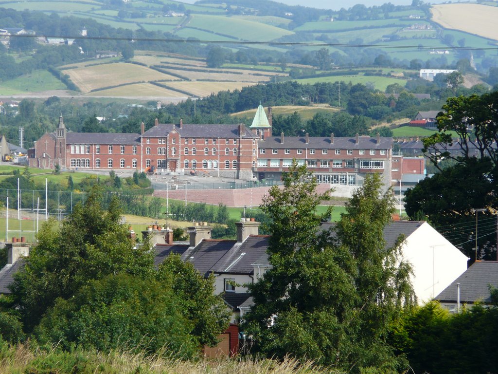 st,colemans college