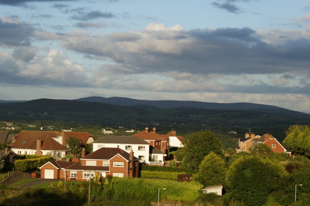 widok z domu