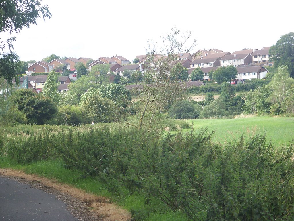A View of Damolly from Newry Canal tow path