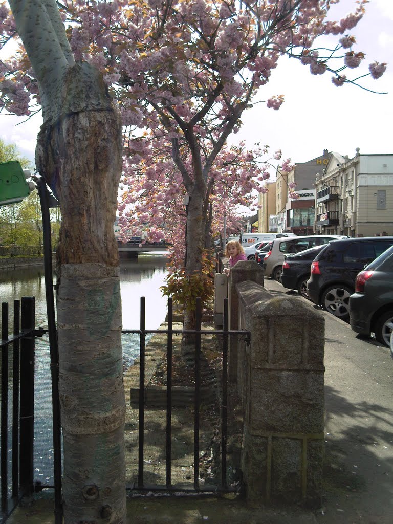 Newry (Newry Canal)