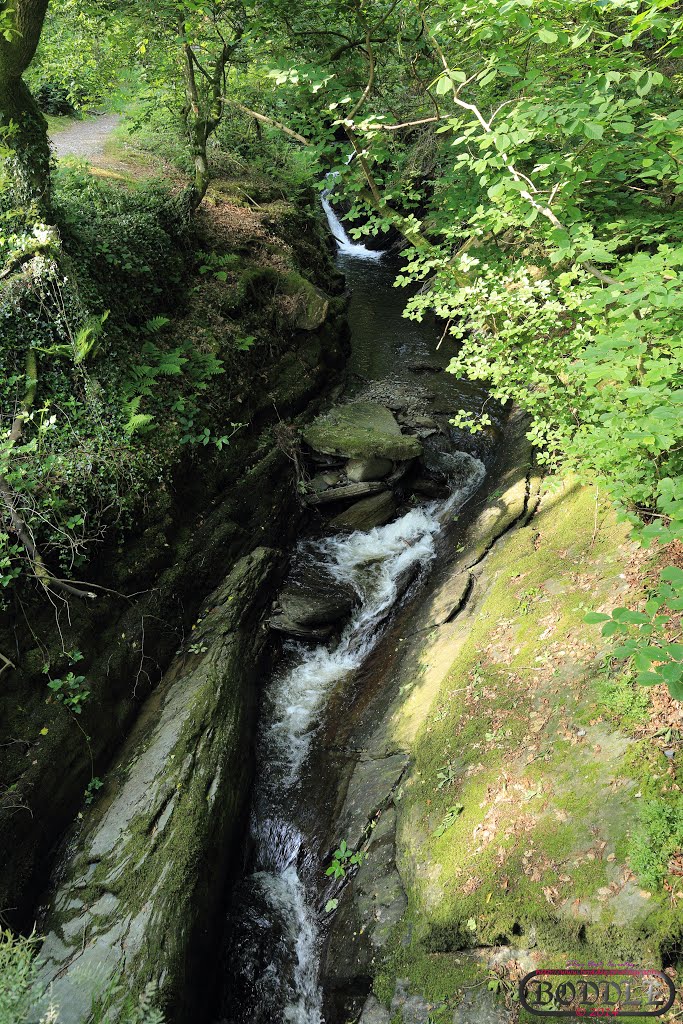 Hafod Estate June 2014 (Nr Devils Bridge) Wales