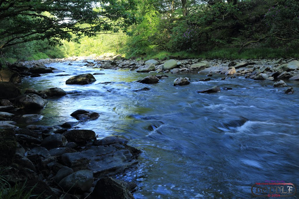 Hafod Estate June 2014 (Nr Devils Bridge) Wales