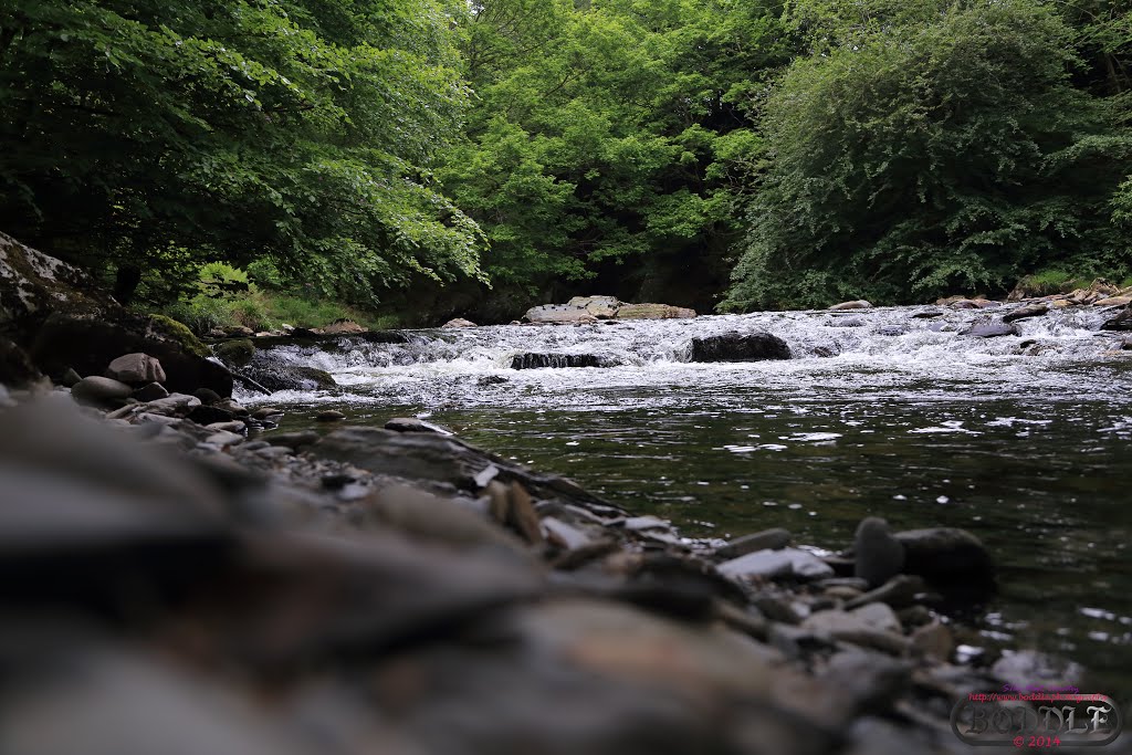 Holiday June 2014 Hafod Estate Wales (Nr Devils Bridge)