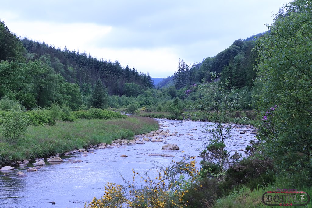 Holiday June 2014 Hafod Estate Wales (Nr Devils Bridge)