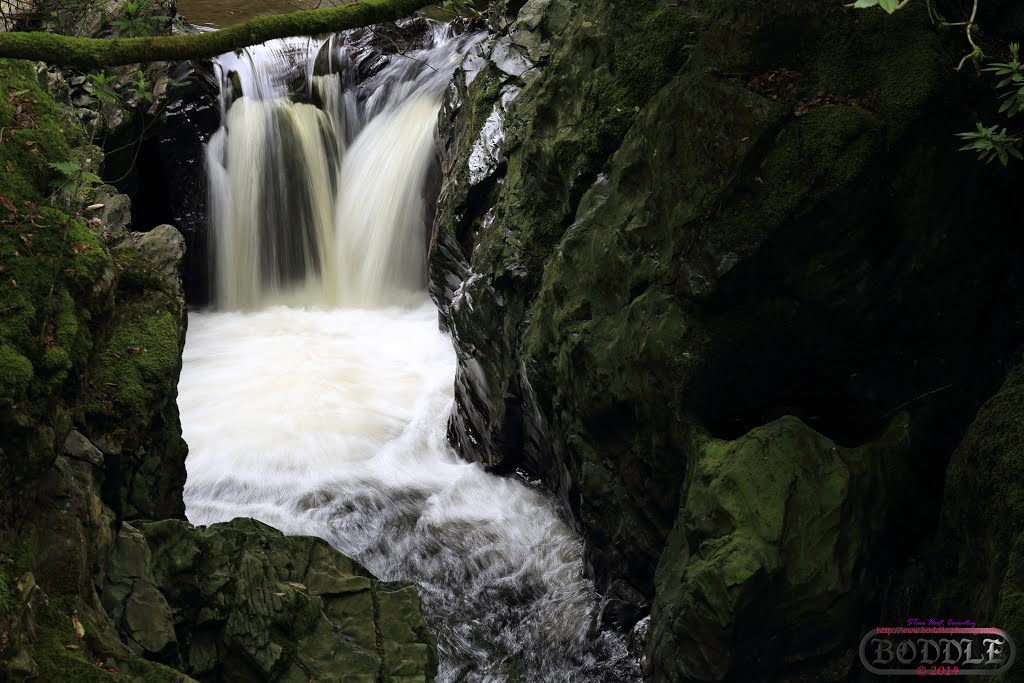 Holiday June 2014 Hafod Estate Wales (Nr Devils Bridge)