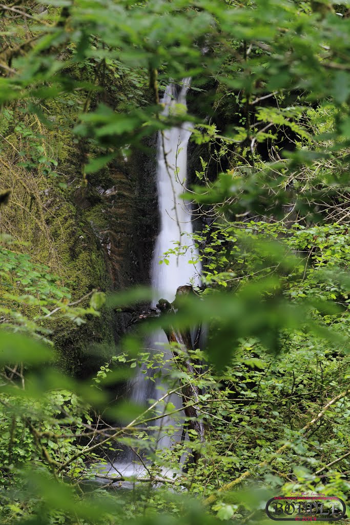 Holiday June 2014 Hafod Estate Wales (Nr Devils Bridge)