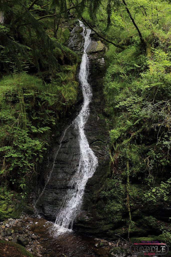 Holiday June 2014 Hafod Estate Wales (Nr Devils Bridge)