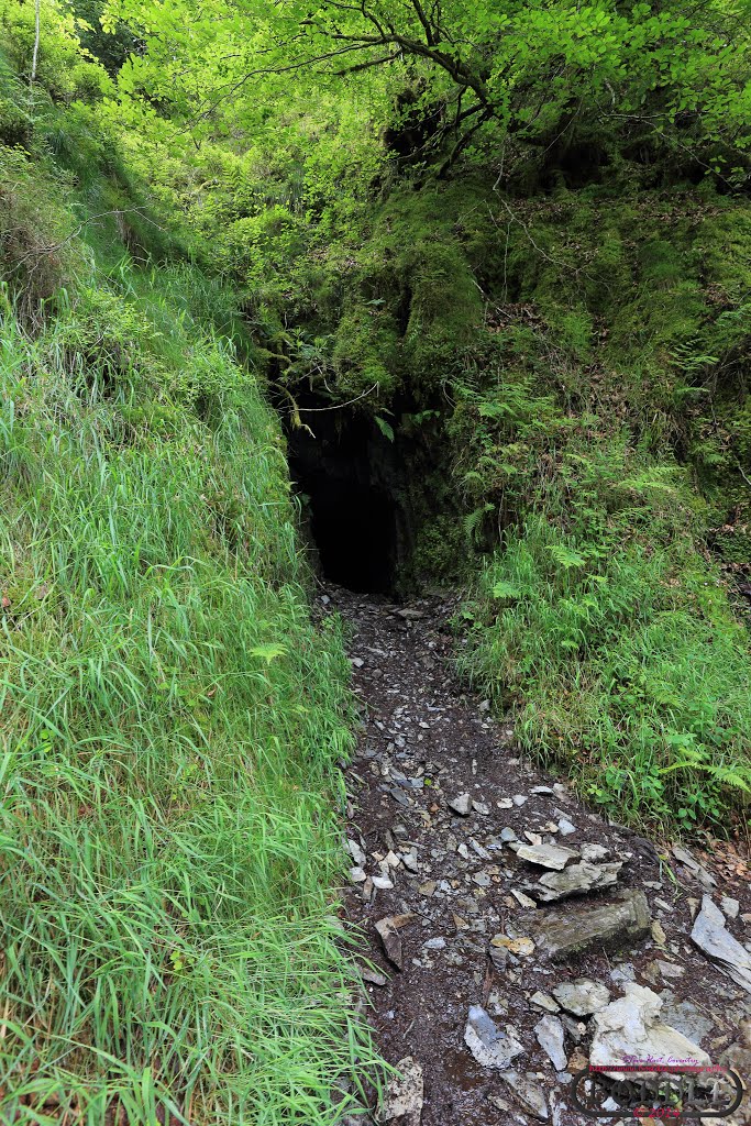 Holiday June 2014 Hafod Estate Wales (Nr Devils Bridge)