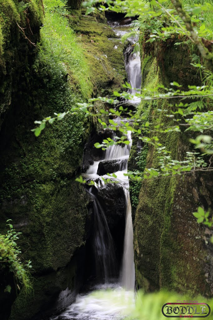 Holiday June 2014 Hafod Estate Wales (Nr Devils Bridge)