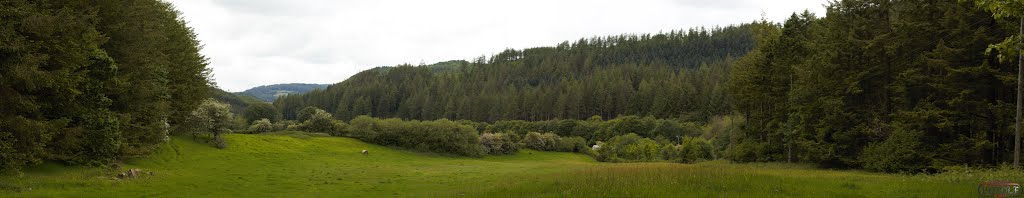 Holiday June 2014 Hafod Estate Wales (Nr Devils Bridge)