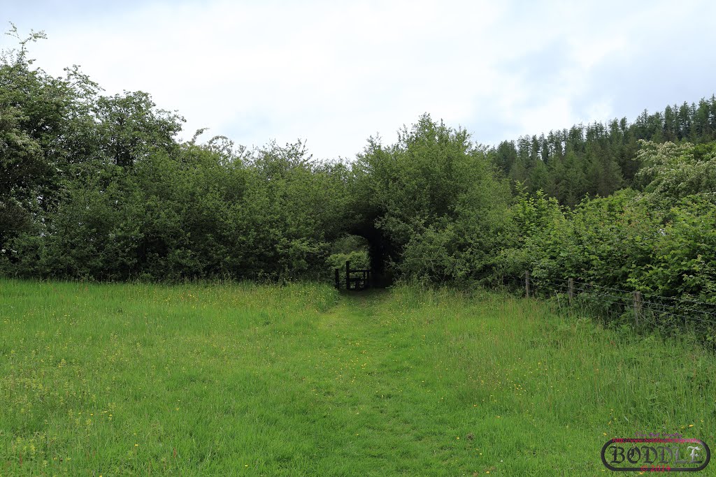 Holiday June 2014 Hafod Estate Wales (Nr Devils Bridge)Holiday June 2014 Hafod Estate Wales (Nr Devils Bridge)