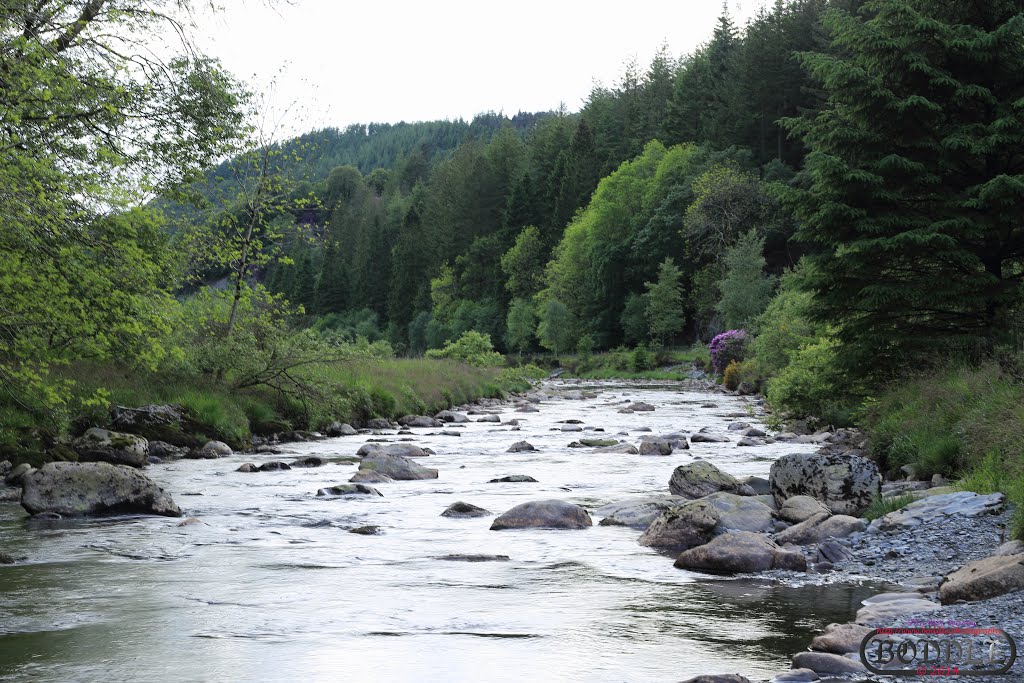 Holiday June 2014 Hafod Estate Wales (Nr Devils Bridge)